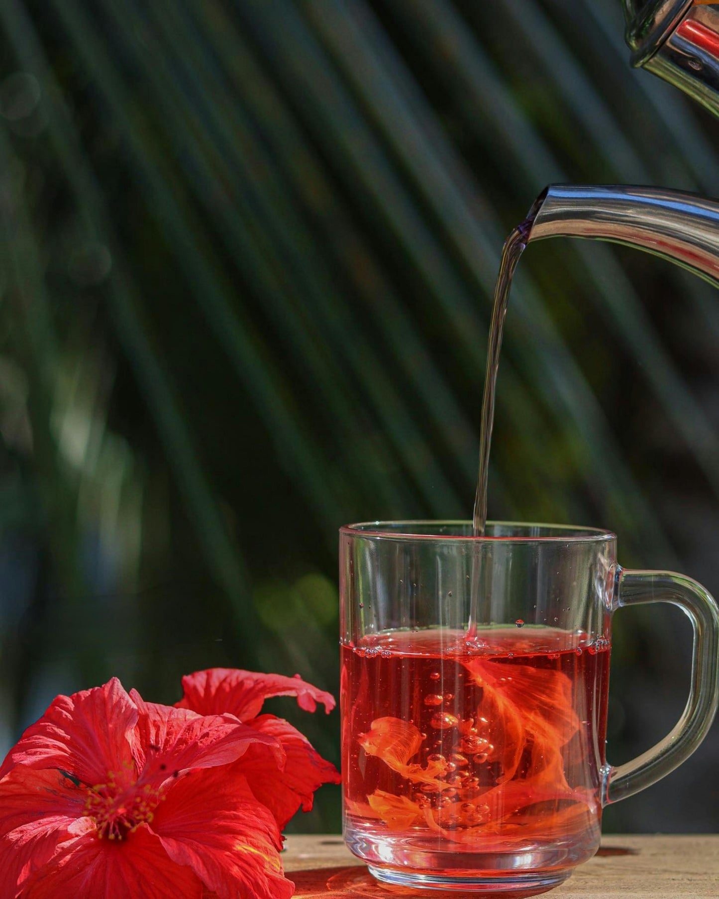 Hibiscus Flower Tea | Cut & Sifted