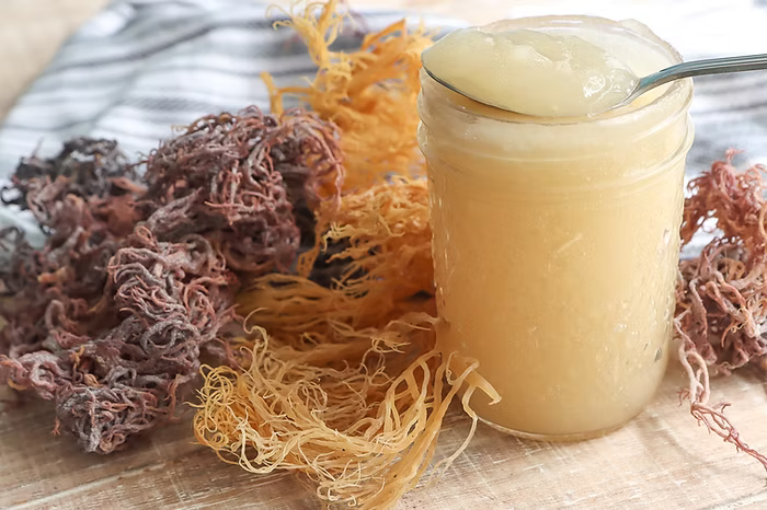 Sea Moss Extract