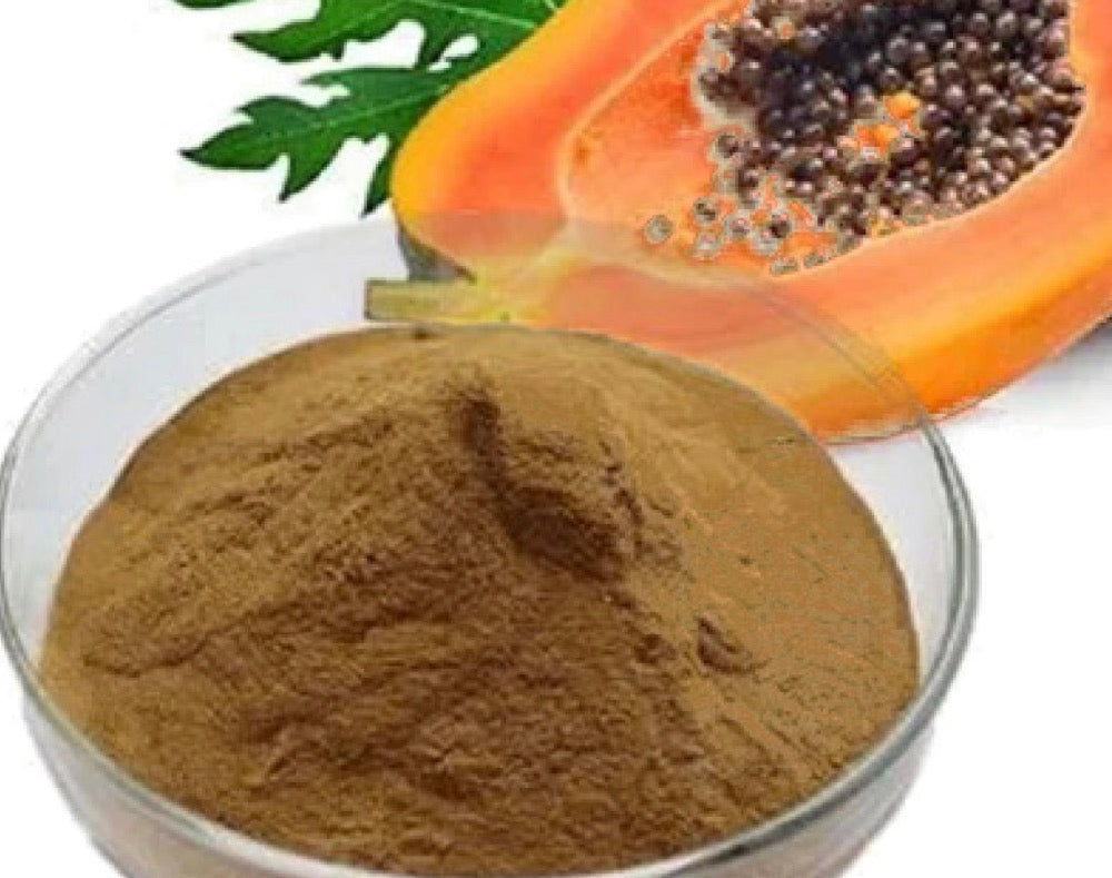 Dried Papaya Seed Powder