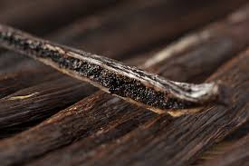100% Pure Madagascar Vanilla Bean Extract