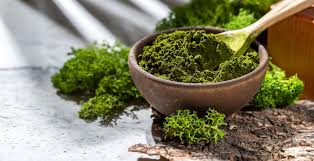 Chlorella Broken Cell Wall Extract