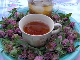 Loose Leaf Red Crimson Clover Tea