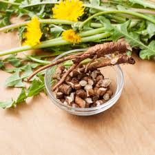 Dandelion Root Extract
