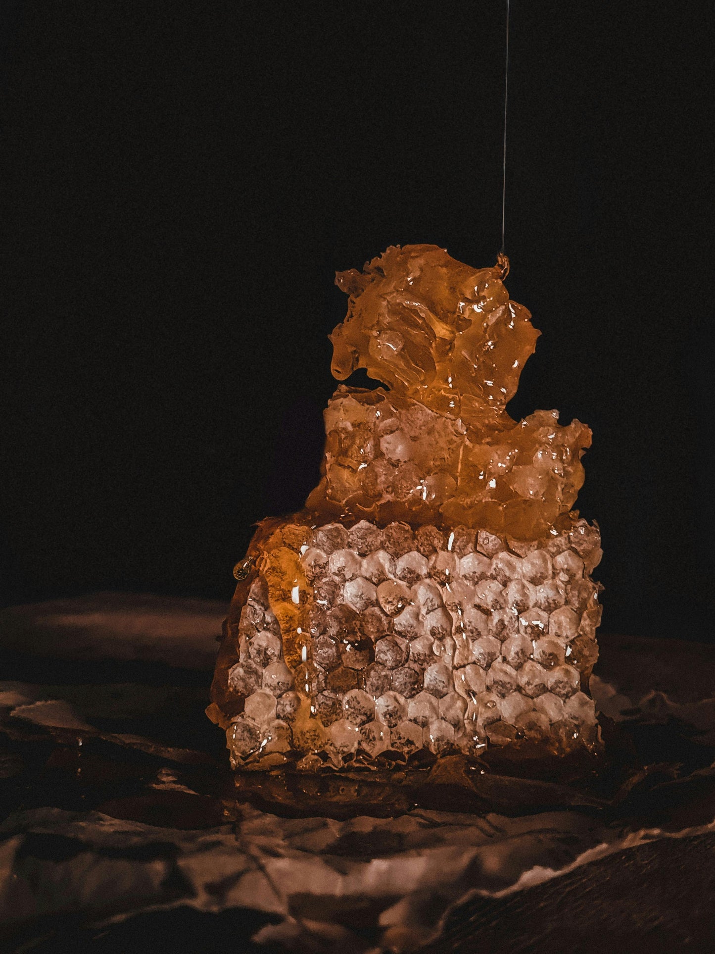 Wildflower Honey with Comb Raw-Unfiltered