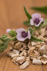 Marshmallow Root Extract