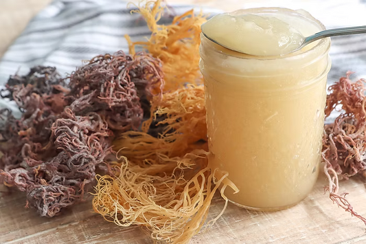 Sea Moss Extract